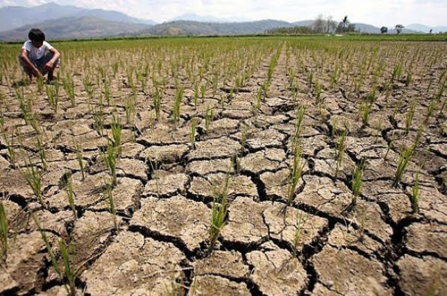Waspada El Nino, Pemerintah Diminta Antisipasi