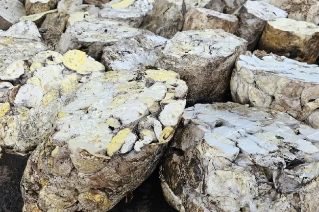 November 2024, Eskpor Karet di Sumut Capai 21.162 Ton