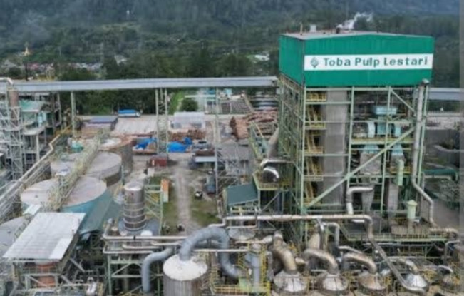 Berdiri Sejak 1983, Toba Pulp Lestari Kini Diambil Alih Perusahaan Hongkong