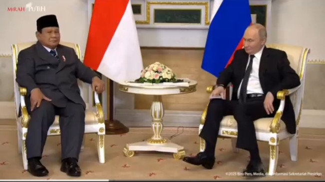 Pertemuan Presiden RI dan Presiden Rusia Vladimir Putin di Istana Konstantinovsky, St. Petersburg. [YouTube Sekretariat Presiden]