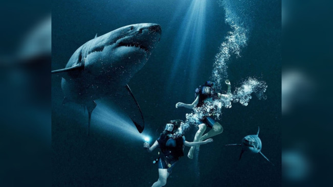 Sinopsis Film 47 Meters Down, Tayang di Bioskop Trans TV