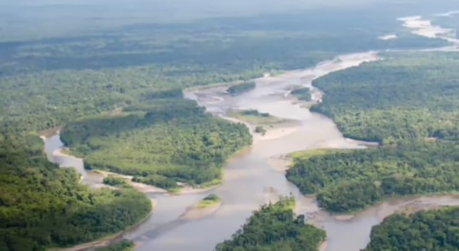 Viral! Netizen RI Serbu Hutan Amazon: Kasih Bintang 1 di Google Maps