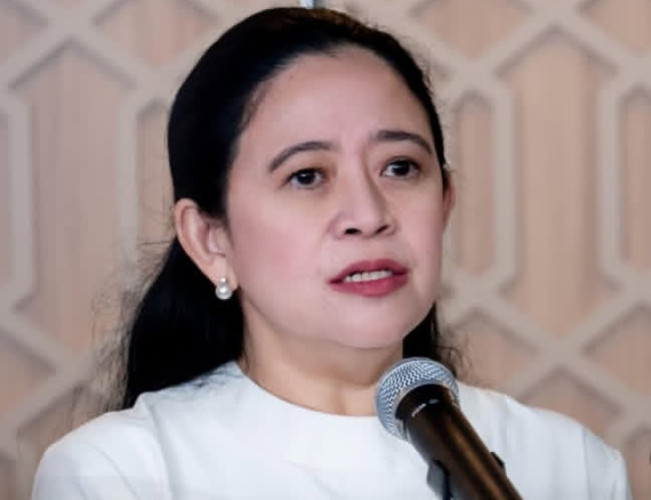 Ketua DPR RI, Puan Maharani. [Instagram]