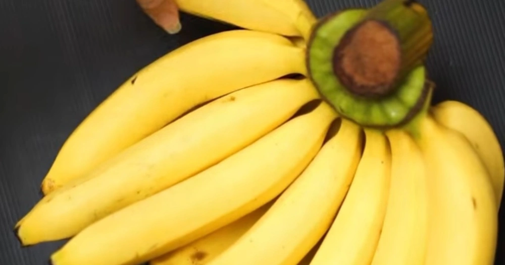 Pisang, Buah Sederhana dengan Khasiat Luar Biasa