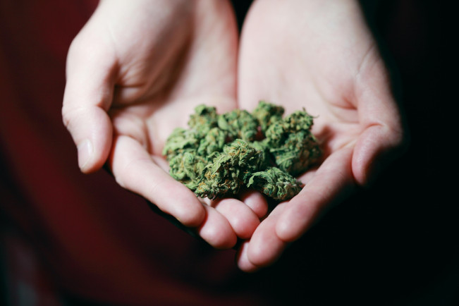 Ilustrasi ganja. [Pexels]