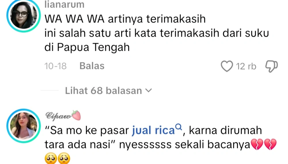 Komentar Netizen soal surat siswa Papua viral. (Tiktok)