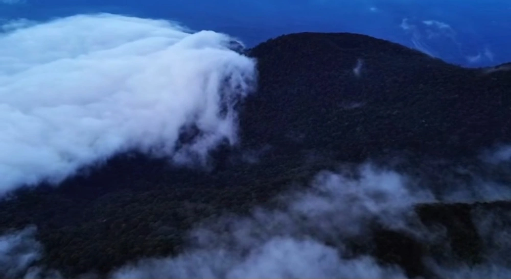 Keindahan Wisata Bukit Daun, Rejang Lebong. (Instagram)