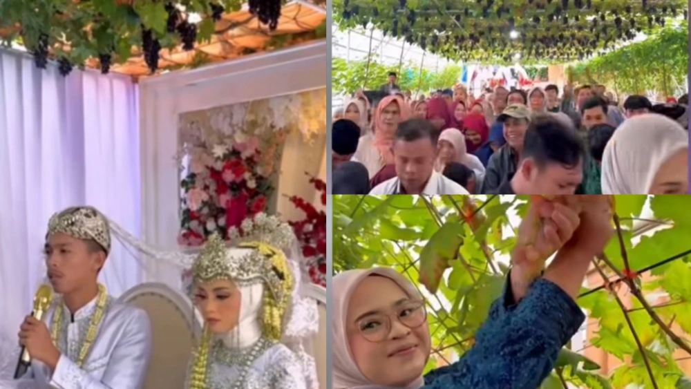 Pernikahan Unik di Garut, Gelar Resepsi di Kebun Anggur Viral di Medsos