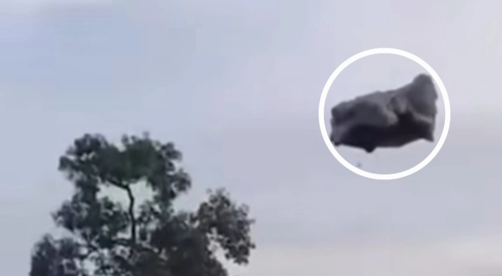 Ini Fakta-fakta 'Awan Hitam' Subang yang Bikin Geger di Medsos