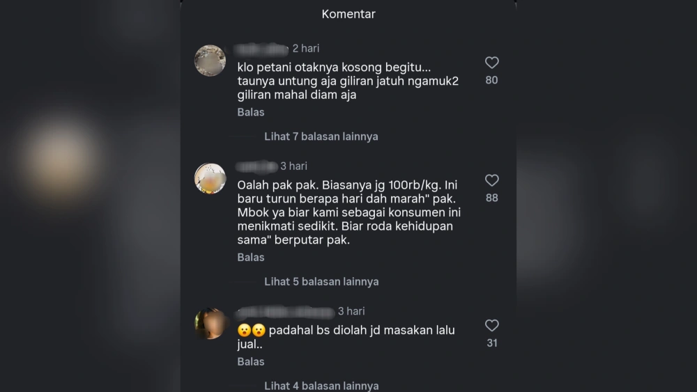 Komentar warganet soal Petani di Kapuas buang hasil panen cabai. [Instagram @kaltengstory]