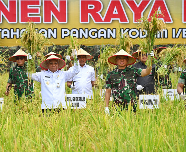 Momen Panglima TNI Panen Raya Padi di Deli Serdang
