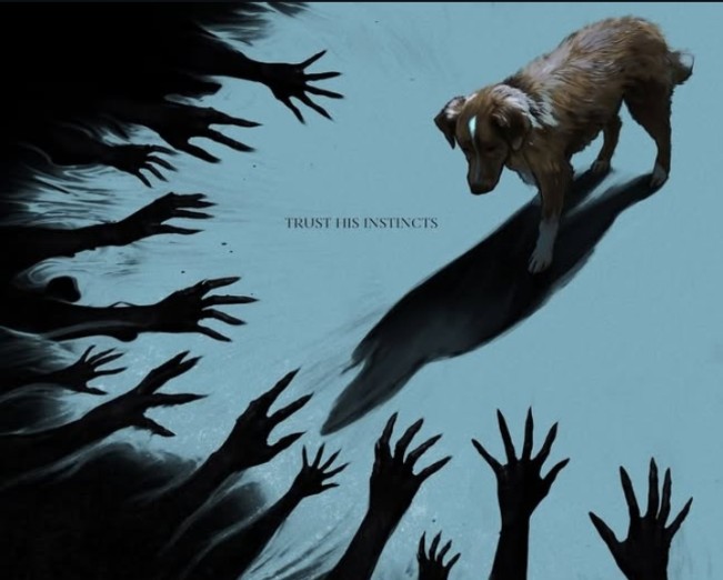 Sinopsis Film 'Good Boy': Cerita Horor yang Diangkat dari Sudut Pandang Seekor Anjing