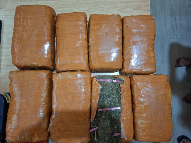 Polisi Gagalkan Peredaran 13 Kg Ganja di Labuhan Deli, 2 Bandar Ditangkap