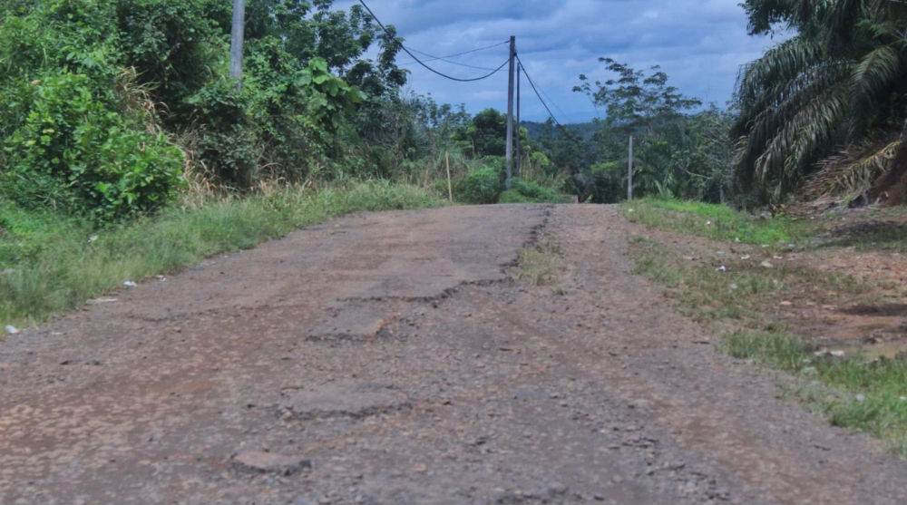 Kondisi jalan yang akan dibangun. [Dok. Humas Pemprov Bengkulu]