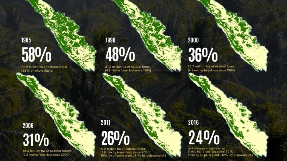 Ilustrasi Peta Deforestasi Sumatera. [Instagram]
