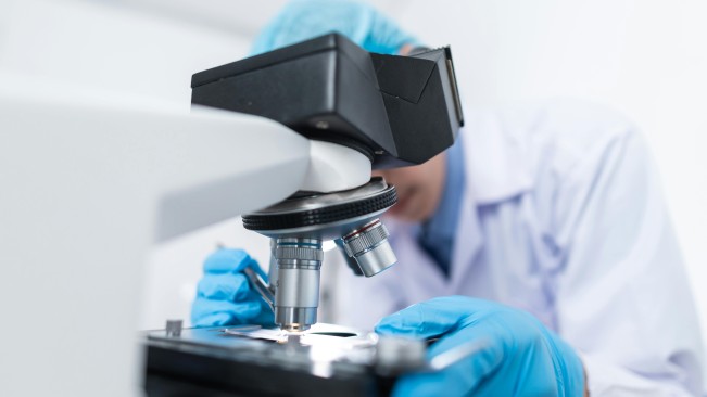 Fakta Unik Cacing Gelang yang Menginfeksi Bocah di Sukabumi hingga Meninggal