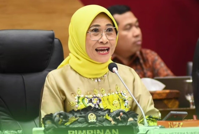 Erick Thohir Rangkap Jabatan, Begini Kata Ketua Komisi X DPR