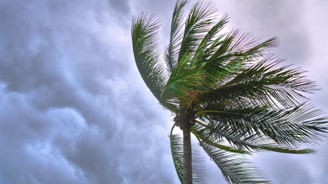 Asal Usul Ekuatorial Rossby yang Dituding Jadi Penyebab Banjir Bali