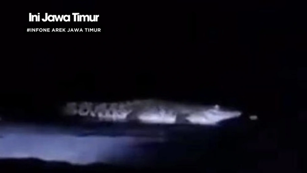 Kemunculan buaya bikin heboh warganet. [Instagram]