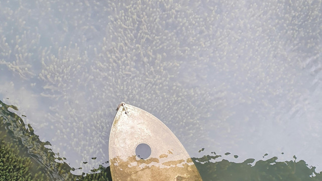 Ini Ciri-Ciri Air yang Bisa Mengandung Amoeba Pemakan Otak