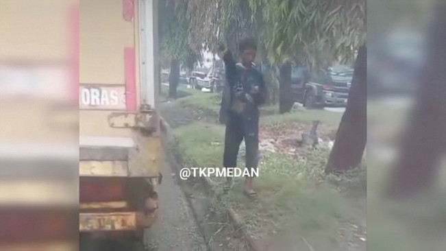 Viral Sopir Truk Mengeluh Banyaknya Pungli di Medan Belawan: Macam Pohon Duit Sopir Ini Kalian Buat