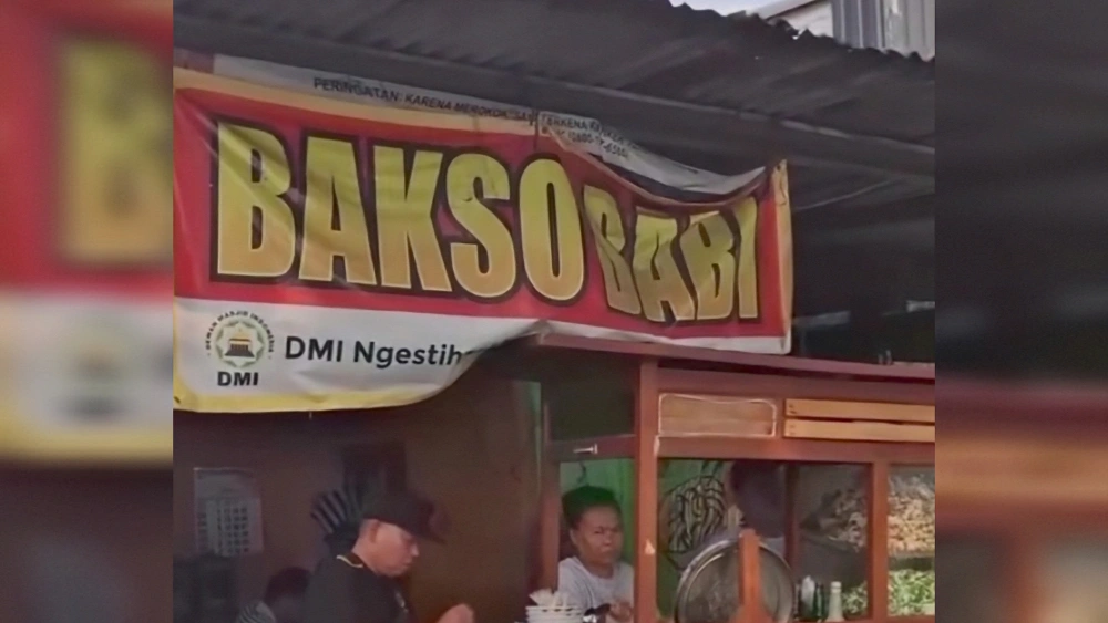 Penyebab Kehebohan Bakso Babi di Bantul, Ini Penjelasan DMI