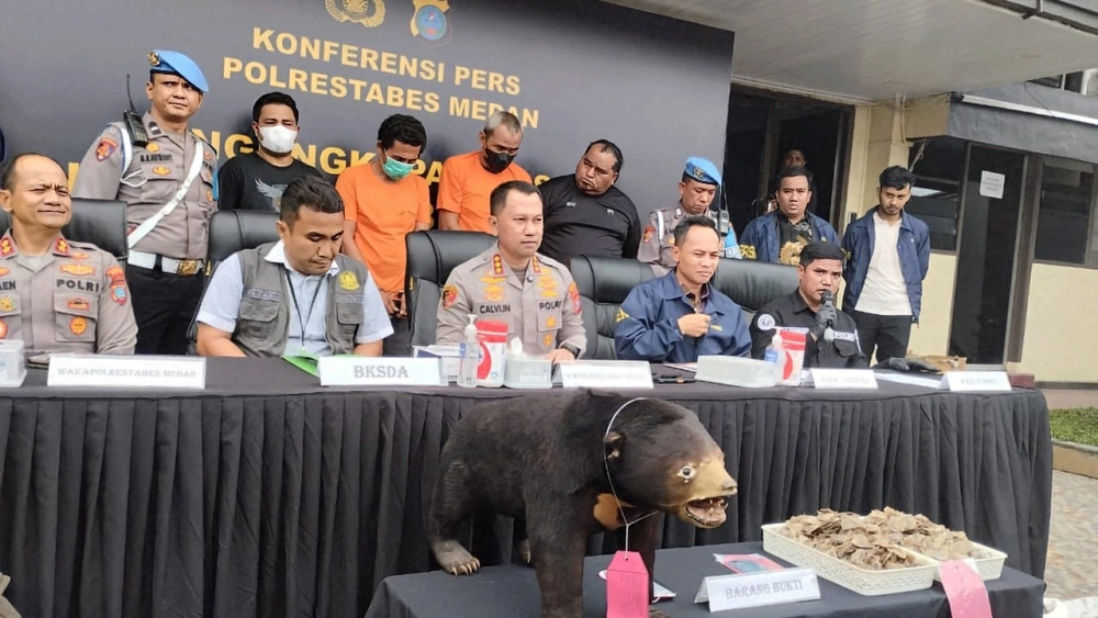 Polrestabes Medan Ungkap Perdagangan Beruang Madu dan Trenggiling Lewat Medsos