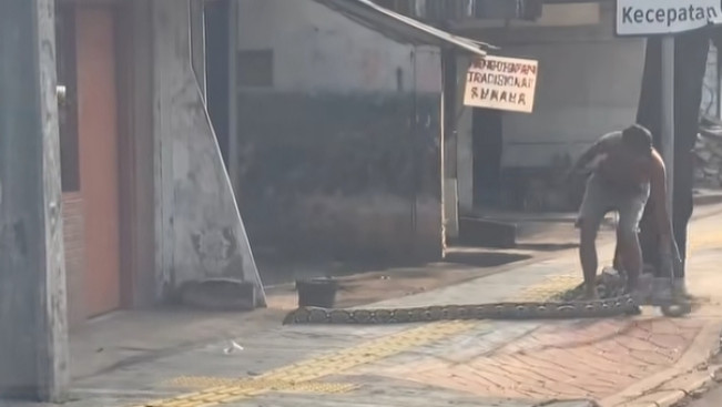 Viral Seorang Kakek Bentangkan Ular di Trotoar: Cegah Pemotor 'Rampas' Hak Pejalan Kaki