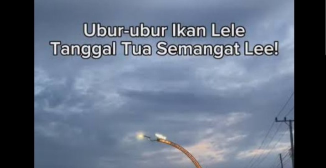 Referensi Pantun Ubur-ubur Ikan Lele Kocak yang Bisa Jadi Penyemangat di Bulan Tua : Nomor 3 Paling Relevan