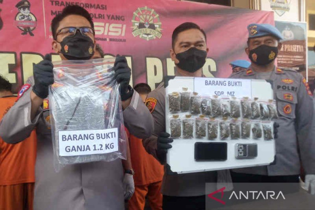 Edarkan Ganja, Seorang Karyawan Koperasi di Cirebon Diringkus Polisi