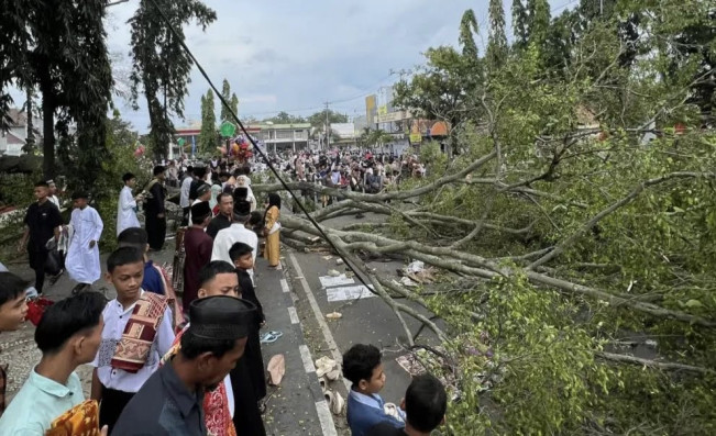 Data 19 Korban Tertimpa Pohon Beringin Saat Salat Idul Fitri di Pemalang
