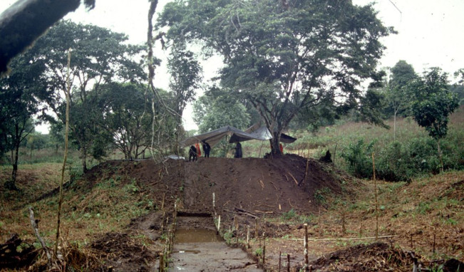 Arkeolog Temukan Kota Berumur 2.500 Tahun di Hutan Amazon