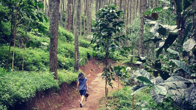5 Destinasi Wisata Paling 'Mengerikan', Saksi Bisu Lokasi Syuting Film Horor