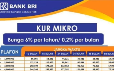 Simulasi Angsuran KUR BRI Mulai Rp 1 Juta Hingga Rp 100 Juta, Berikut Tabelnya
