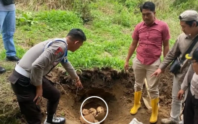 Misteri Kendi Berisi Tiga Tengkorak Diduga Manusia Hebohkan Warga Kepahiang