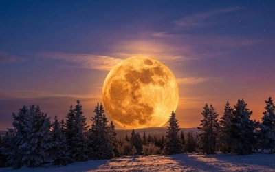Fenomena Langka! Cold Moon 2025 Bikin Bulan 14 Persen Lebih Besar, Ini Waktu Terbaiknya