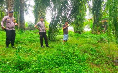 Gerak Cepat Polisi, Perampok Kasir Kedurang Ilir Ditangkap Kurang 24 Jam
