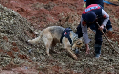 Update Longsor Cilacap: 8Jenazah Ditemukan, Termasuk Potongan Tubuh, Total 11 Meninggal