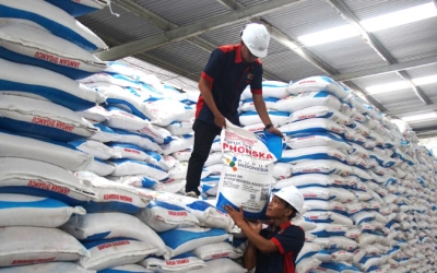 Jual Pupuk Subsidi di Atas HET, 115 Distributor Curang Dicabut Izinnya