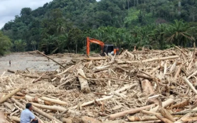Penegakan Hukum Kehutanan Rendah, DPR: Apa Masalahnya? Benteng Terlalu Kuat? Bintangnya Banyak?