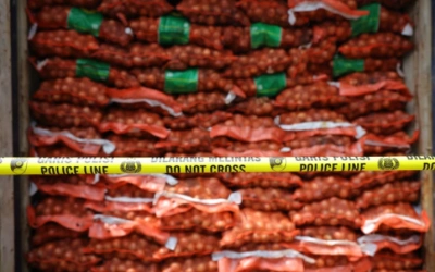 Bawang Bombai Ilegal di Pelabuhan Tanjung Perak, Mentan: Komoditas Itu Mengandung Penyakit