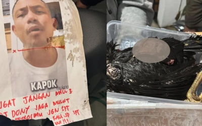 DJ Donny Diteror Ancaman Pembunuhan 'Ayam Terpotong', Gara-Gara Soroti Kerugian PLN dan Papua?