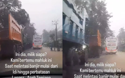 Viral Truk-Truk Tambang dari Aceh Menuju Perbatasan Sumut, Netizen: OTW Hilangkan Barang Bukti