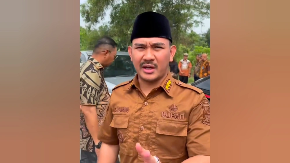 Ade Kuswara Kunang Bupati Bekasi Kena OTT KPK, Apa Kasusnya?