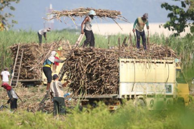 Investasi Gula dan Bioetanol, Bahlil: Pastikan Hak-hak Daerah!