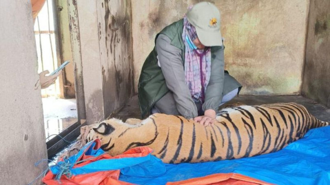 Pemko Medan Didesak DPRD Bereskan Persoalan di Kebun Binatang