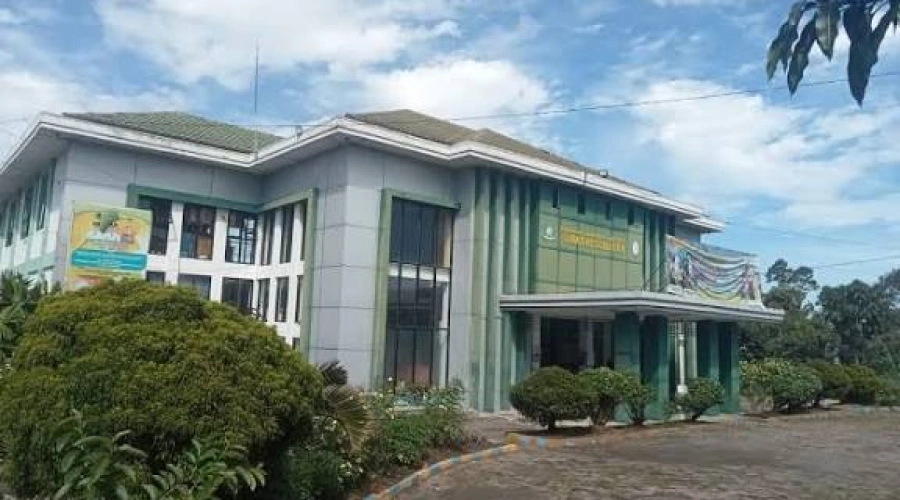 133 Pasien DBD Terdeteksi di Rejang Lebong Sepanjang 2025, Dinkes Bongkar Cara Mudah Mencegah Penularan Fatal