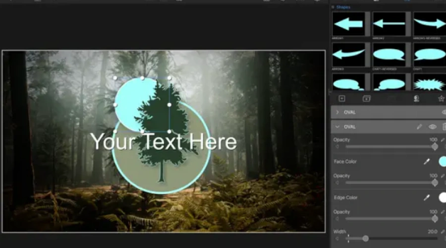 Rekomendasi 5 Aplikasi iPad Terbaik untuk Eksplorasi Kreativitas Anda