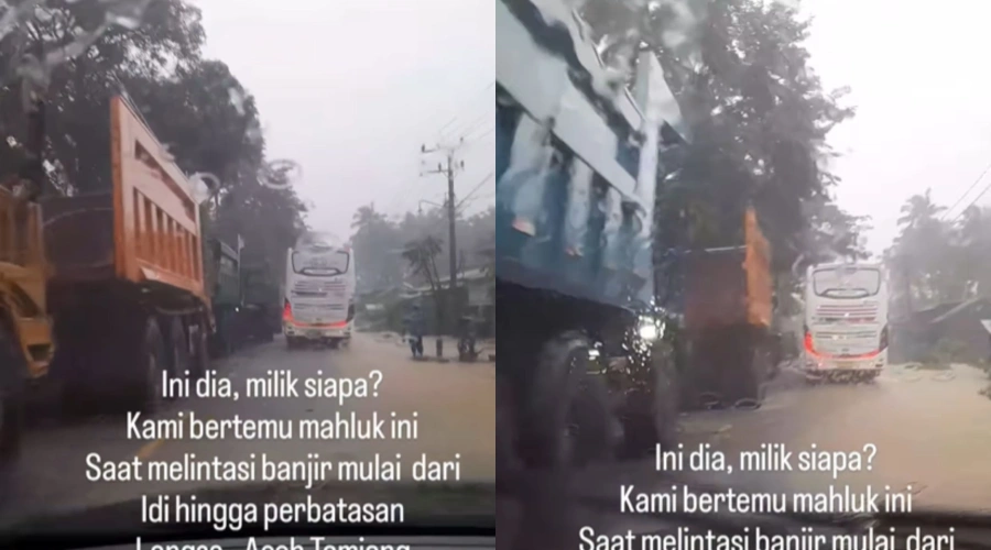 Viral Truk-Truk Tambang dari Aceh Menuju Perbatasan Sumut, Netizen: OTW Hilangkan Barang Bukti