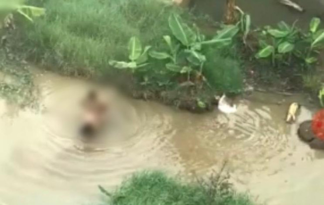 Polisi Selidiki Viral Video Asusila di Kalideres